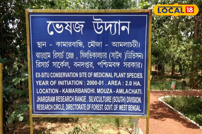*এক হেক্টর জায়গা জুড়ে রয়েছে ২৪ প্রজাতির বাঁশের বাগান। লালিবাঁশ, ভালকি, লাঠা, রেগুন, কাঁটা, বোম্বে, ঘটি-সহ বিভিন্ন প্রজাতির বাঁশ। ১ হেক্টর জমিতে রয়েছে পিয়াশাল, আম, গাভ, সিঁদুরে, হরিতকি, রক্তচন্দন, সেগুন গাছ।