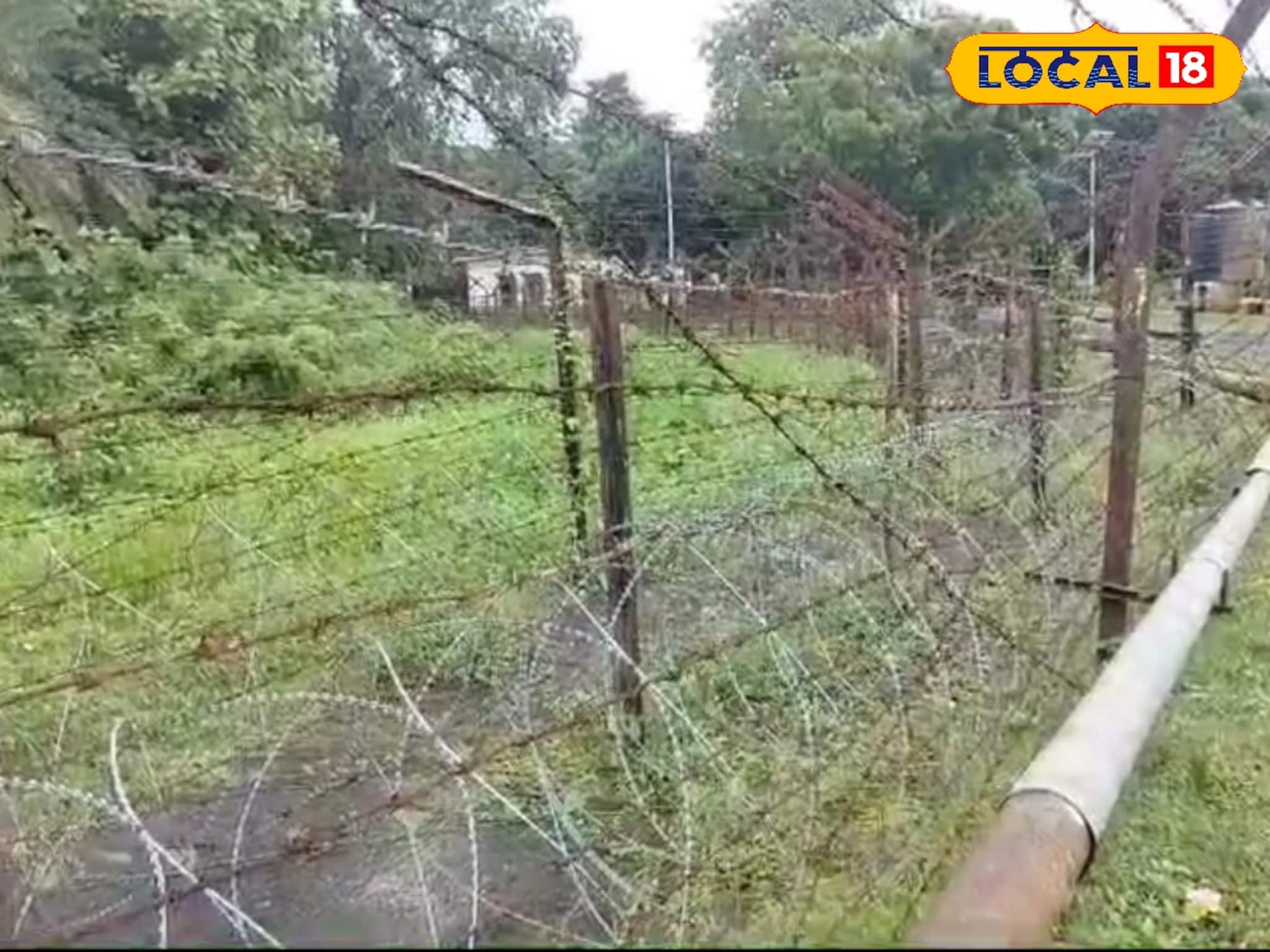 পরিত্যক্ত কোয়ার্টার...ক’দিন ধরে আসছিল পচা গন্ধ! উঁকি মেরে দেখতেই...আতঙ্কে চিল চিৎকার