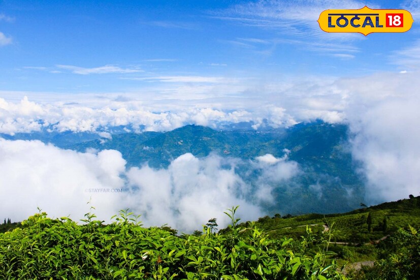 *দার্জিলিং শুধু ভ্রমণের শহর নয়, এটি এক স্বাদের গন্তব্যও। পুজোর ছুটিতে পাহাড় ঘুরতে গেলে এই খাবারগুলির স্বাদ না নিলে ভ্রমণ অসম্পূর্ণ থেকে যাবে।