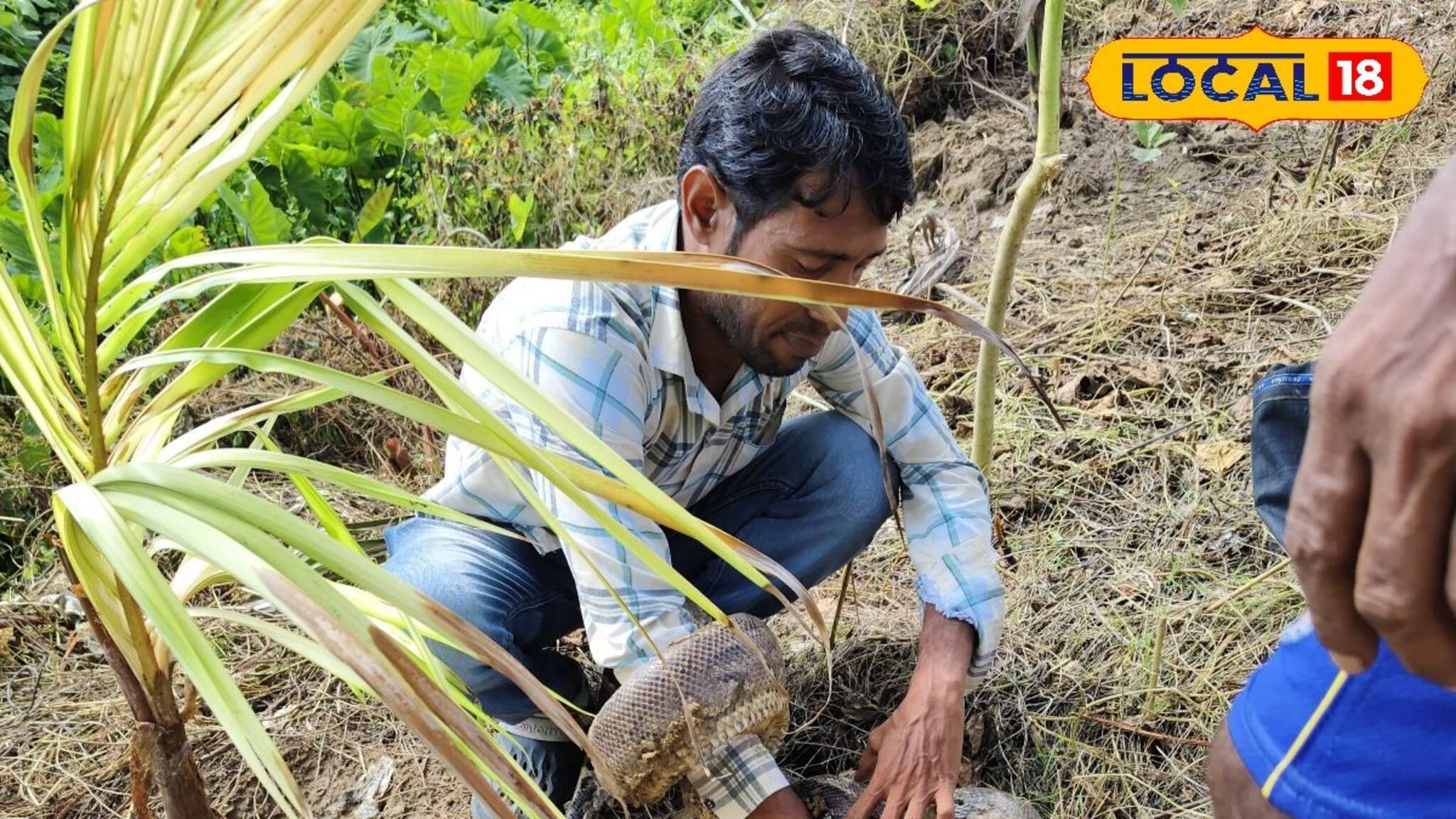 ঝোপ পরিষ্কার করতে গিয়ে এ কী! থর থর কাঁপছে গোটা এলাকা, ঘটনাস্থলে যা দেখলেন...আতঙ্কে পাগল