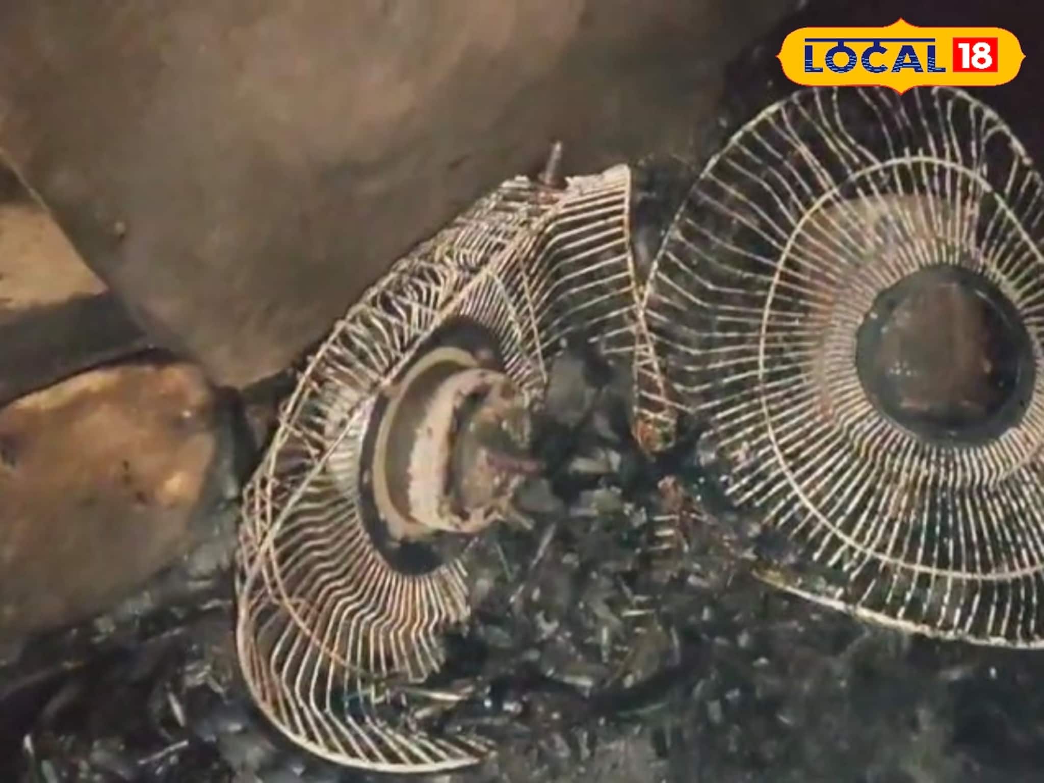 সর্বগ্রাসী আগুনে ঘুমের মধ্যেই 'চিরঘুমে' তিন ভাইবোন! সবাই ছুটে এলেন, কিন্তু ততক্ষণে সব শেষ