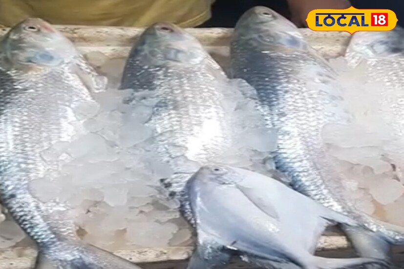 ফলে রান্নাপুজোয় রুপোলি শস্য মিলবে তো, তা নিয়েই চিন্তায় আম বাঙালি। এ নিয়ে মৎস্যজীবী সংগঠনের পক্ষ থেকে অলোক হালদার জানিয়েছেন, প্রাকৃতিক দুর্যোগের কারণে এই সমস্যা তৈরি হয়েছে। এখনও পর্যন্ত অনেক মৎস্যজীবীই মাছ ধরতে যেতে পারেননি।