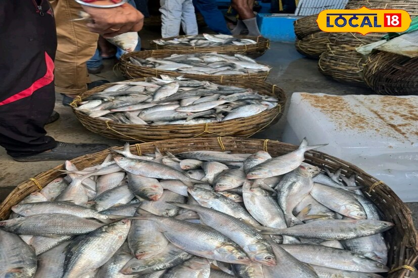 বিশ্বকর্মা পুজোর দিন রয়েছে এই রান্না পুজো। তবে এবছর ইলিশের দেখা নেই বললেই চলে। তার উপর আবহাওয়া খারাপ থাকায় বারবার সমুদ্র থেকে ফিরে আসতে হয়েছে মৎস্যজীবীদের।
