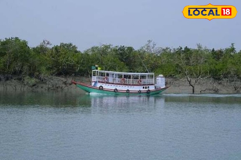 অসৎ উপায় নিলে লঞ্চ মালিকরা শাস্তির মুখে পড়তেও পারেন। একাধিকবার অভিযোগ সামনে এলে সুন্দরবনে লঞ্চ ঢোকার অনুমতি একমাসের জন্য বন্ধ রাখা হবে বলেও জানানো হয়েছে। “সমস্ত অনুমতি অনলাইনে হওয়ার কারণে বিভিন্ন সময় পারমিশন না পাওয়ার অভিযোগ আসছিল। নির্দিষ্ট কিছু টুরিস্ট অপারেটর এবং সাইবার ক্যাফের বিরুদ্ধেই সেই অভিযোগ ছিল। এবার সেই সমস্যা থেকে মুক্তি পাবেন সুন্দরবনে ঘুরতে আসা সমস্ত পর্যটকরা।