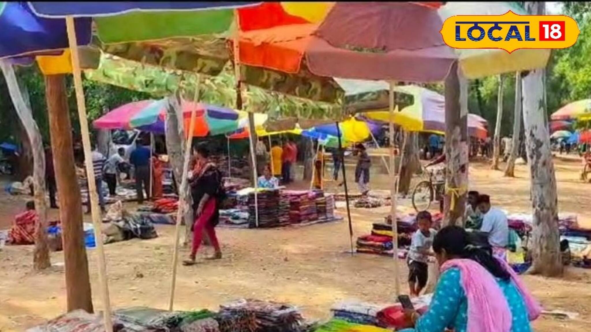 কেটে ফেলা হচ্ছে গাছ, রিসর্টের সংখ্যা বেড়েই চলেছে, 'বেআইনিভাবে' চলছে সোনাঝুরি হাট!