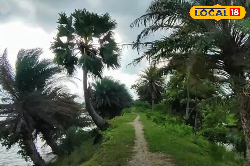 সবুজে ভরা প্রান্তরের পাশেই রয়েছে বিস্তীর্ণ ফসলের ক্ষেত আর মাছচাষের ভেড়ি। ভোর বা দুপুরবেলায় ভ্রমণে বেরোলে দূর থেকে ভেসে আসে পাখির কলতান। প্রকৃতির সৌন্দর্য ও মানুষের দৈনন্দিন জীবিকার এই মিলন ভ্রমণকারীদের কাছে এক অনন্য অভিজ্ঞতা এনে দেয়।