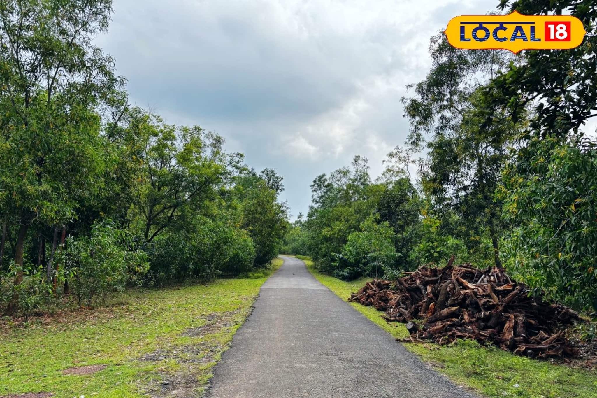 Bengal Tourism: কলকাতা থেকে ঢিল ছোঁড়া দূরত্বে দারুণ ট্যুরিস্ট স্পট, কম টাকায় ব্যাপক মস্তি, জেনে নিন