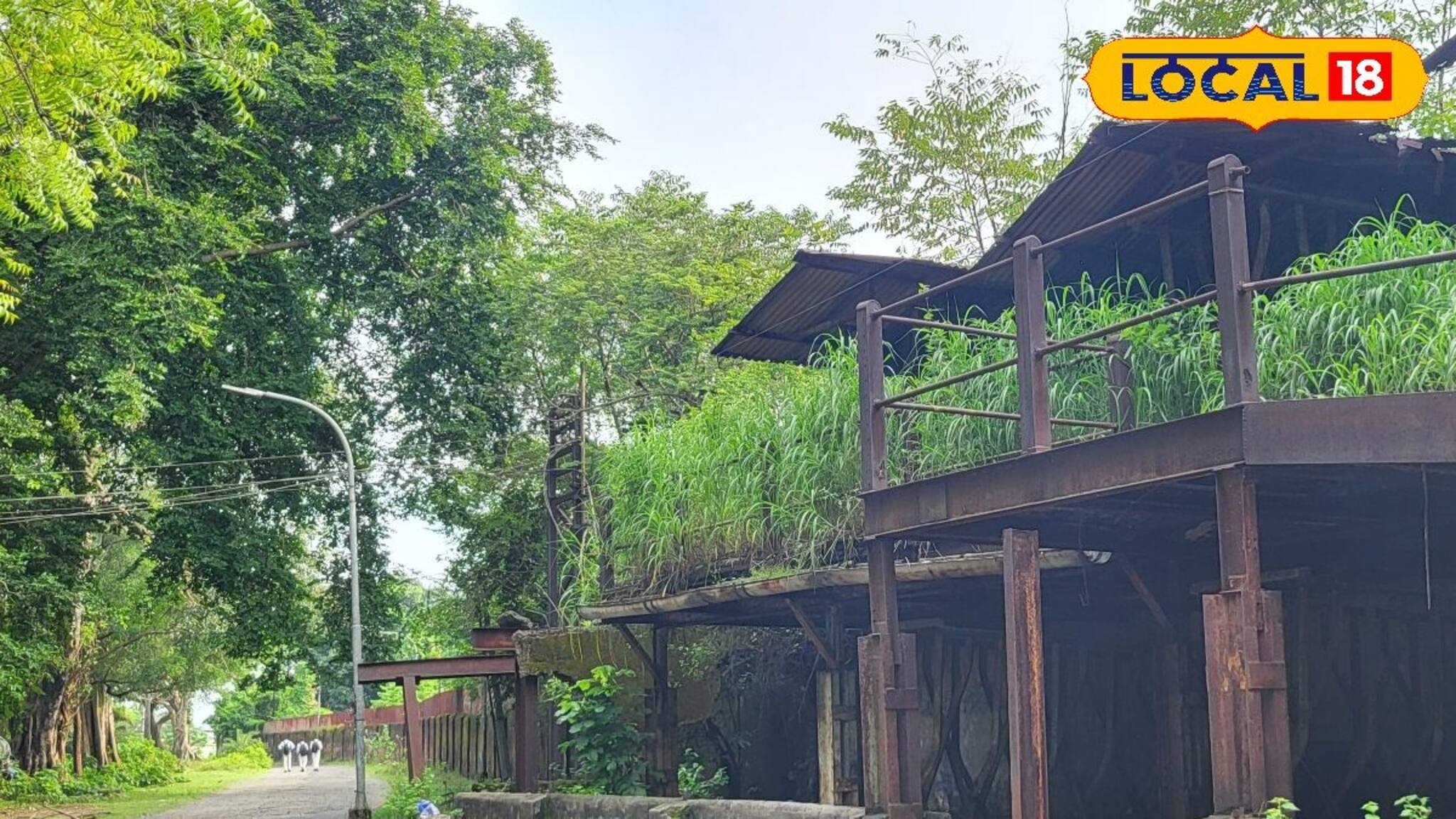 আগাছায় ঢেকেছে গরিমা, বিশ্বকর্মা পুজো এলেই ভারাক্রান্ত মনে ভিজে যায় চোখের কোণ