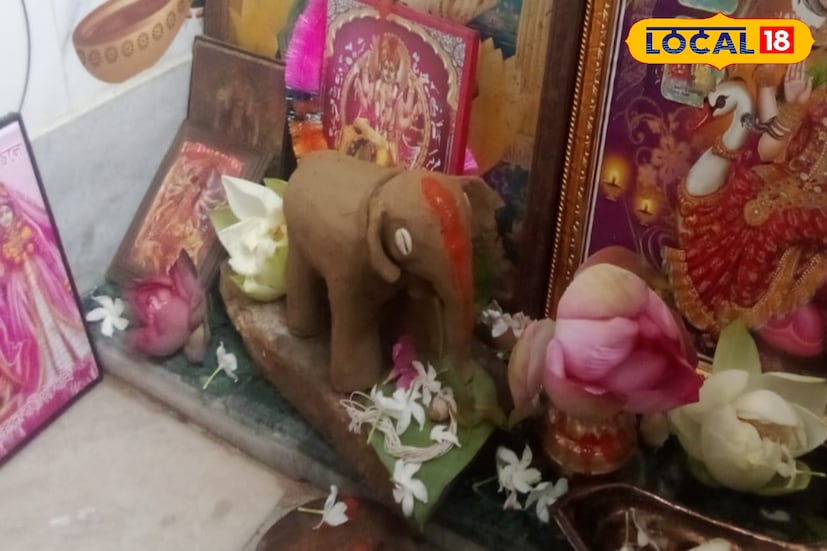গ্রামবাসী শান্তি হালদার ও পারিজাত মণ্ডল জানান, 