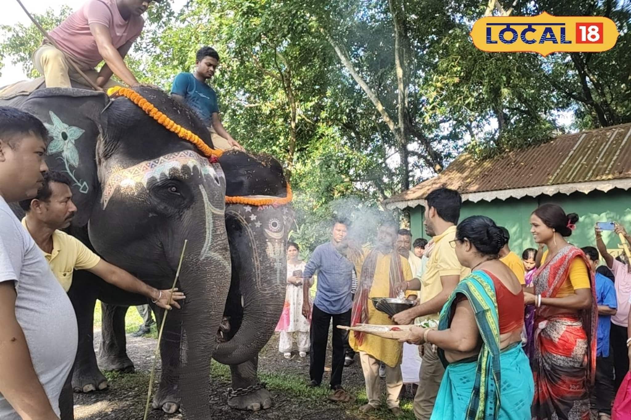 বিশ্বকর্মার আরাধনায় এখানে পুজো পায় চম্পা-ফাল্গুনী-রাজা-মতিরা! বাংলায় হাতি পুজো কোথায় হয়?