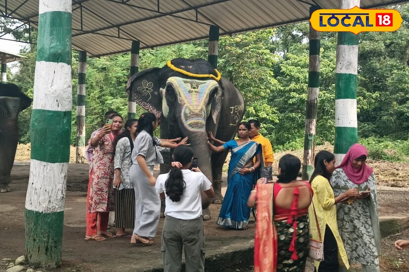 আমনা, মতিরানি, চম্পা, ফাল্গুনী, রাজা, বর্ষণ, যুবরাজ নাম শুনলেই মনে হবে রাজকীয় আবেশ! আসলে এরা সবাই বিশ্বকর্মার বাহন, গজরাজ। বিশ্বকর্মা পুজো উপলক্ষে প্রতিবছরের মতো এবারও ধূপঝোড়া এলিফ্যান্ট ক্যাম্প ও রামসাইয়ে পালিত হল বিশেষ হাতি পুজো। 