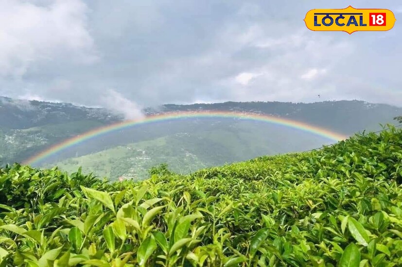 *পুজোয় তাই ভিড় ঠেলে দার্জিলিং শহরে নয়, পাহাড়ের শান্ত কোলে অফবিট মোক্তানই হতে পারে আপনার নতুন ঠিকানা।