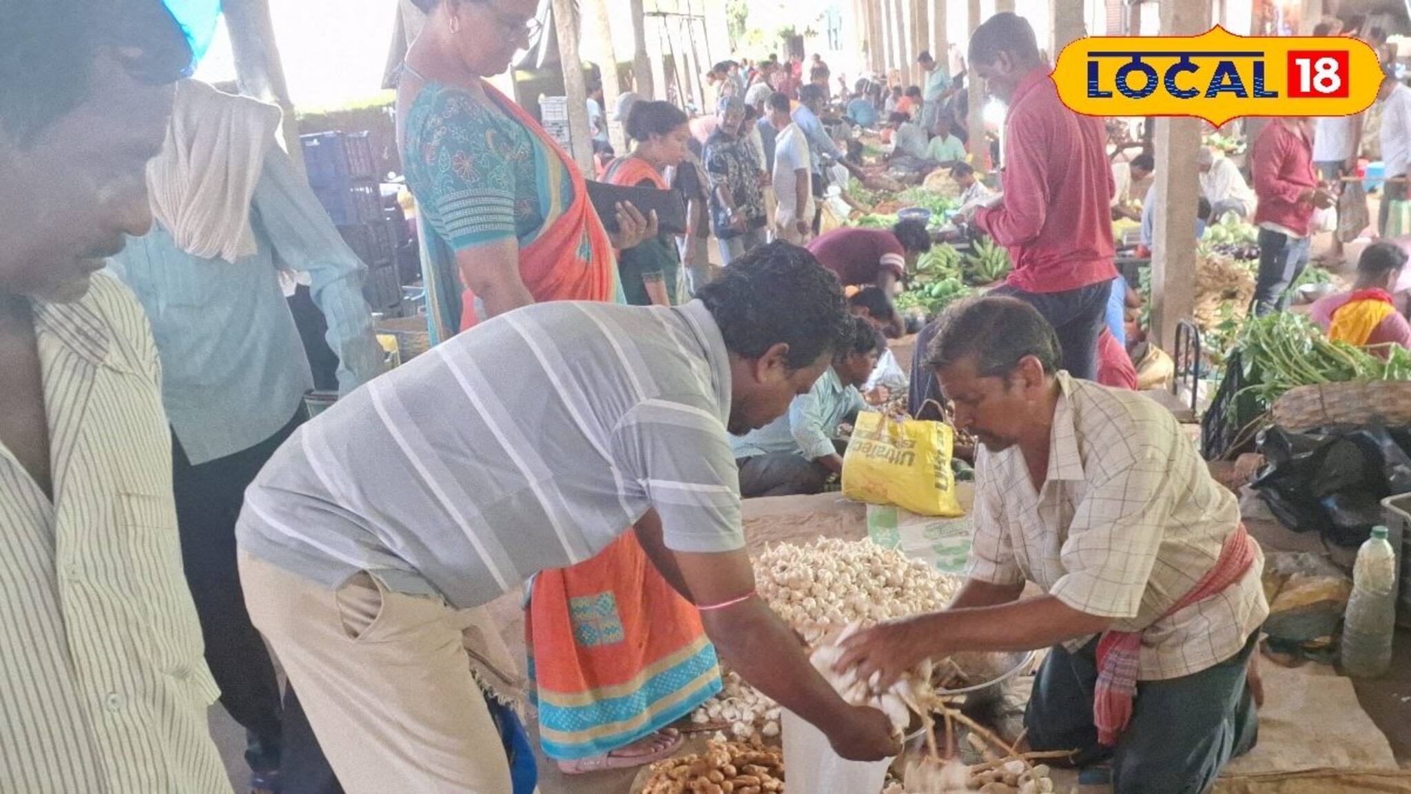 Mushroom: চিকেন-মটন ফেল! বাঁকুড়ার বিখ্যাত 'এই' ছাতু, পাবেন আর মাত্র কয়েকটা দিন, দাম শুনলে চমকে যাবেন
