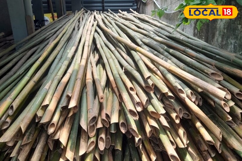 বাঁশ শব্দটিকে নিয়ে বাঙালির হাসি মশকরার শেষ নেই। 'বাঁশ দেওয়া' কে নিয়ে বাঙালি তার চায়ের আড্ডায় হাসির পাত্র করে তোলে। 'বাঁশ' শব্দটিকে অবশ্য আরও নানা আঙ্গিকে ব্যবহার করা হয়। তবে, এই আশ্বিনে বাঁশ বাঙালির কাছে সম্পূর্ণ অন্য অনুষঙ্গ বয়ে আনে। বাড়ির বাইরে ক্লাবের সামনে মাঠে বা ক্লাবে রাস্তার ধারে বাঁশের স্তূপ দেখে এখন বাঙালির মন আনন্দে নেচে ওঠে। কেননা এ সব বাঁশ প্যান্ডেল তৈরির বাঁশ। আর কিছু দিন পরেই পুজো। বাঙালির সব চেয়ে বড় উৎসব।