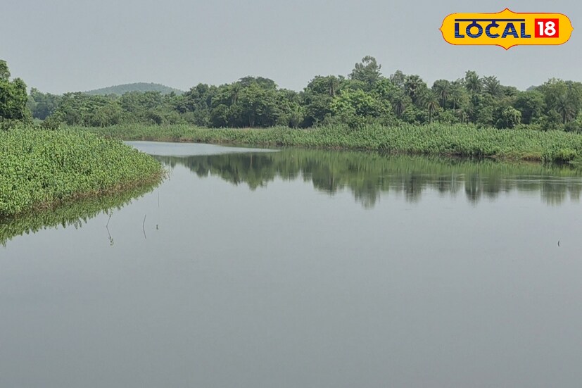 *তারাফেনী ব্যারেজ হল ঝাড়গ্রামের তারাফেনী নামক শান্ত নদীর উপর অবস্থিত একটি ছোট মনোরম বাঁধ। এই এলাকার অন্যান্য বৃষ্টিনির্ভর নদী তারাফেনী তার নিজস্ব গতিতে প্রবাহিত হওয়ায় এটিকে শান্ত বলা হয়। বেলপাহাড়ি গ্রাম থেকে প্রায় ৫ কিলোমিটার দূরে অবস্থিত, এই ছোট ব্যারেজটি আকাশের বিপরীতে প্রকৃতির অত্যাশ্চর্য দৃশ্য উপস্থাপন করে। ঝাড়গ্রামে চারটি অপ্রয়োজনীয় নদী রয়েছে, যথা কংসাবতী, সুবর্ণরেখা, দুলং এবং তারাফেনী, যার মধ্যে শেষটি সবচেয়ে শান্ত। বিনপুর এবং বেলপাহাড়ি অতিক্রম করার পর, তারাফেনী অবশেষে কংসাবতী নদীর সঙ্গে মিলিত হয়।