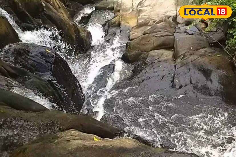 *পাহাড়ের কোলে প্রকৃতির অপরূপ সৌন্দর্যের ডালি, জঙ্গলমহলের কোলে লুকিয়ে থাকা এক অজানা আস্তানা। এক সময় মাওবাদীদের ডেরা ছিল এই অঞ্চল। কিন্তু আজ জঙ্গলমহলের ঝাড়খণ্ড লাগোয়া এই গ্রাম হয়ে উঠেছে এক অন্যতম পর্যটন কেন্দ্র। গত কয়েক বছরে পশ্চিমবঙ্গের বিভিন্ন জেলার মধ্যে লুকিয়ে থাকা গ্রামগুলোতে ভিড় বেড়েছে পর্যটকদের। এমনই একটি গ্রাম হল ঢাঙিকুসুম। ঝাড়খণ্ড সীমানা লাগোয়া দু’পাশে ঘন সবুজ জঙ্গল। এর মাঝে উঁচু-নিচু টিলার চড়াই উৎরাই এর মধ্যে দিয়ে পথ।