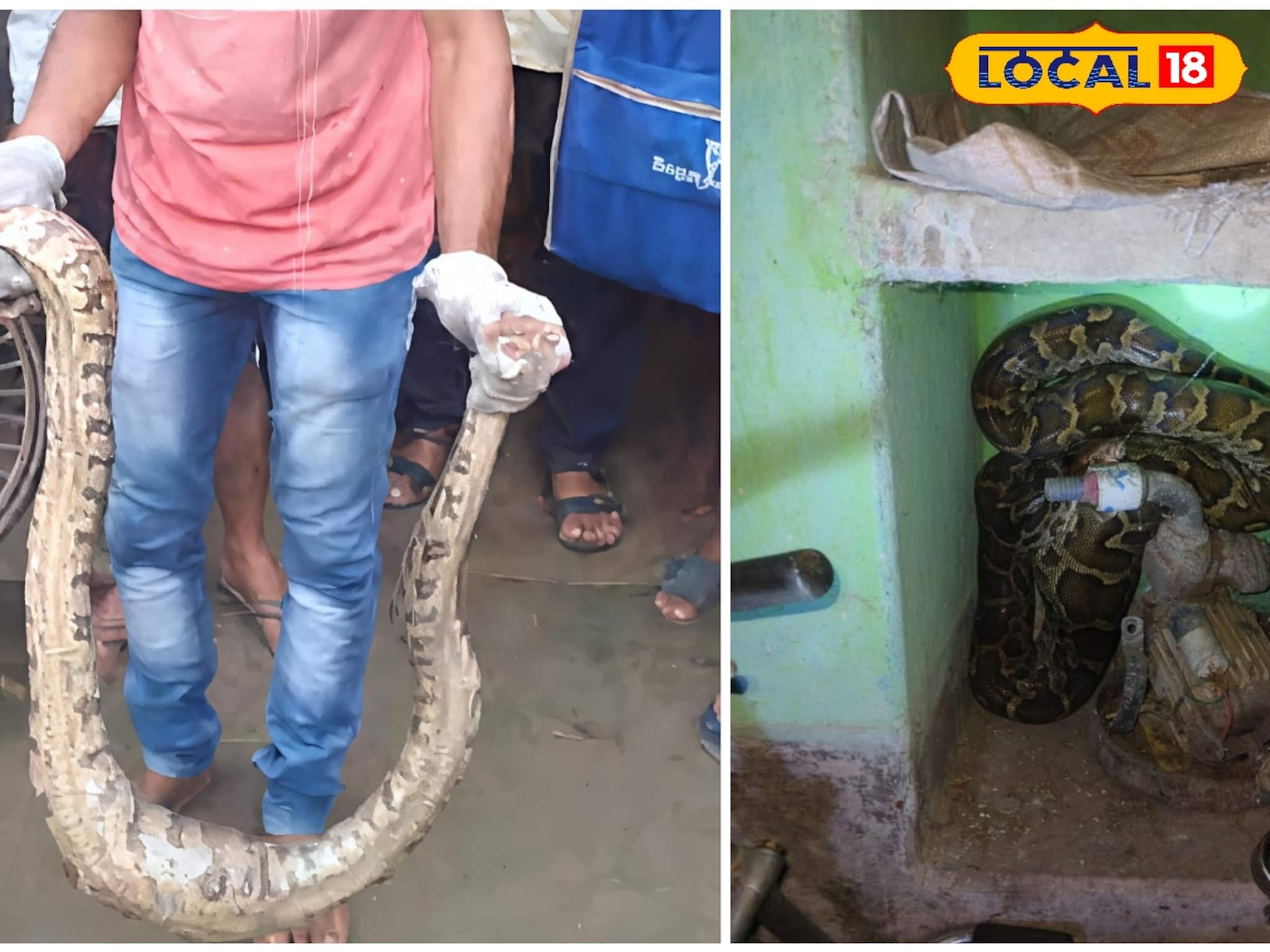 Snake : ১০ ফিট লম্বা সাপ উদ্ধার! উত্তরবঙ্গ নয়, এবার দক্ষিণবঙ্গের এই এলাকায় চাঞ্চল্য, আতঙ্কে এলাকার বাসিন্দারা