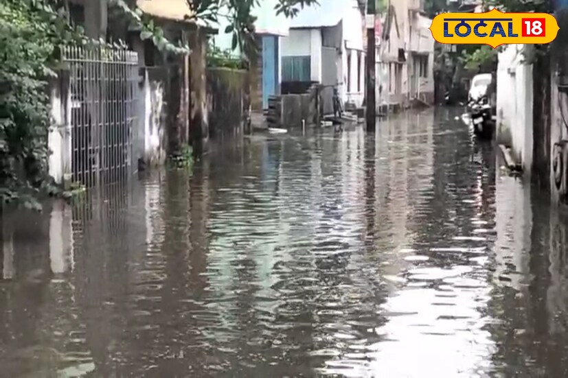 ২৩ সেপ্টেম্বর ভোর থেকেই নিম্নচাপের টানা বৃষ্টিতে তমলুক শহরের একাধিক ওয়ার্ড জলমগ্ন হয়েছে। সব থেকে বেহাল অবস্থা তমলুক শহরের ৮ নম্বর ওয়ার্ডের দে পাড়ার। বৃষ্টি আরও বাড়লে জল যন্ত্রণা আরও বাড়বে বলে জানাচ্ছেন শহরবাসীরা।