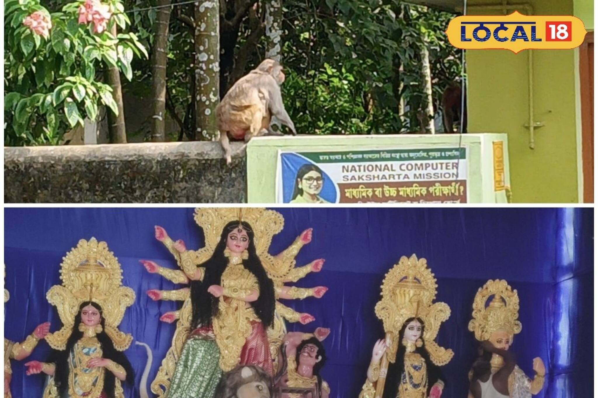 বাঁদরের তাণ্ডবে নাজেহাল পাতকাটার পুজো উদ্যোক্তারা, আতঙ্কে স্থানীয় বাসিন্দারা