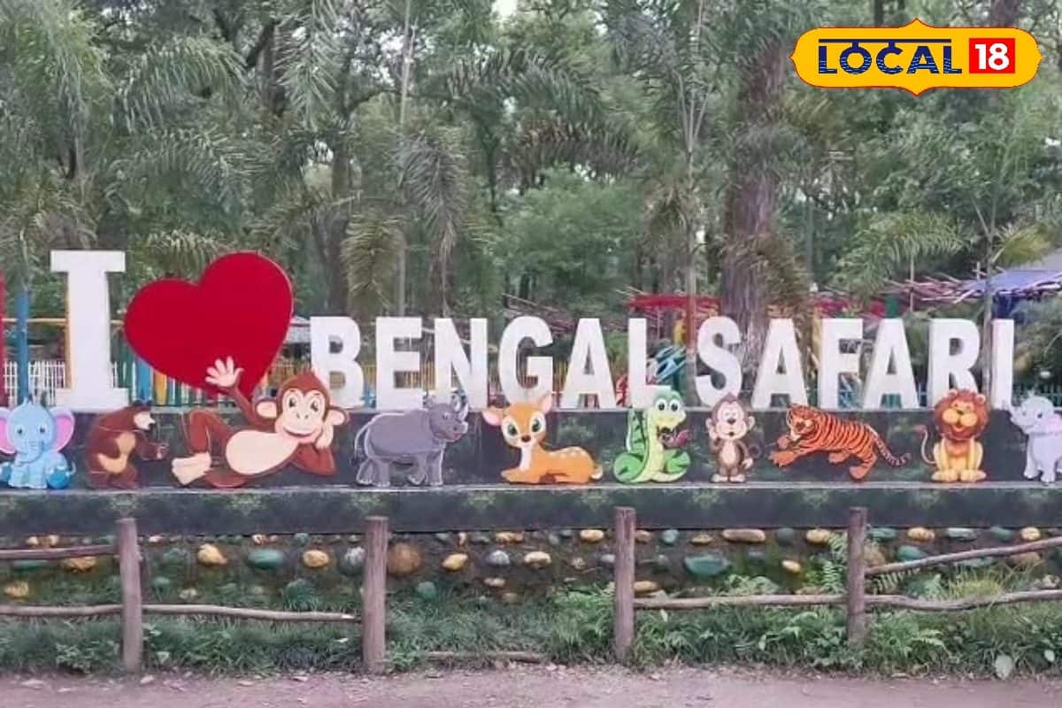 বেঙ্গল সাফারিতে পুজোর নতুন আকর্ষণ, ধূসর নেকড়ে, সোনালী শিয়াল, আর কাদের দেখা পাবেন?
