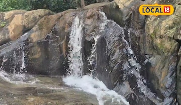 ঢাঙ্গিকুসুমের