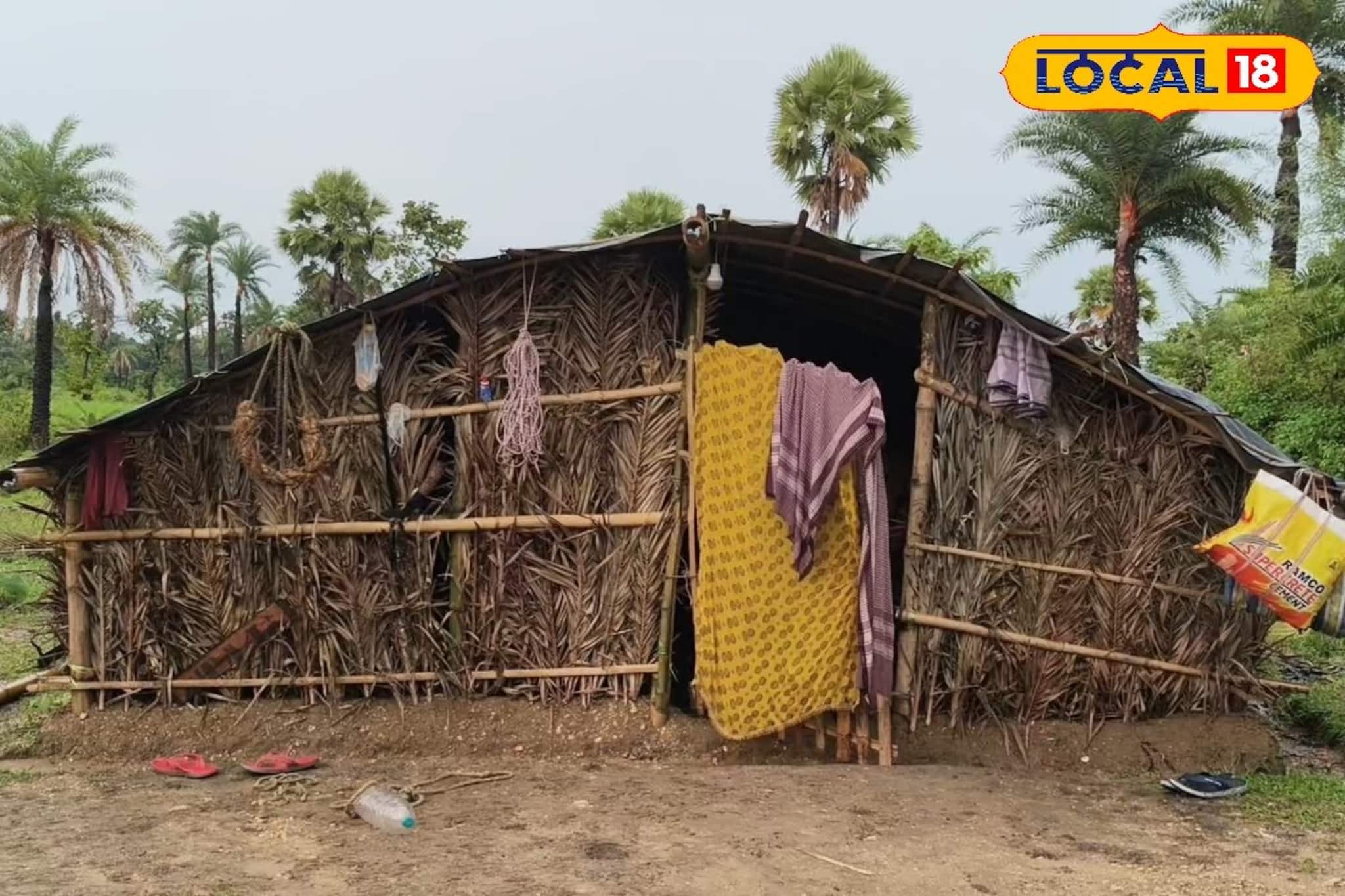 জীবিকার টানে দুর্গম জঙ্গলে দিনযাপন, একফোঁটা রসের জন্য জীবন-যুদ্ধ