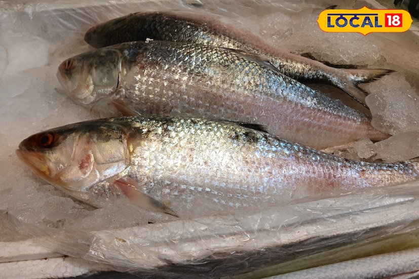 চড়া দামের কাছে মার খাচ্ছে পদ্মার ইলিশ। চাহিদার অভাবে আমদানি বন্ধ প্রায় পদ্মার ইলিশ। বিপুল পরিমাণ অর্থাৎ আড়াই হাজার মেট্রিক টন ইলিশ আসার ছাড়পত্র দিয়েছে বাংলাদেশের সরকার। কিন্তু এবার পর্যাপ্ত ইলিশ জেলেদের জালে ধরা না পড়ায়, গত বছরের তুলনায় অনেকটাই বেশি দাম পদ্মার ইলিশ। ফলে এপার বাংলার মানুষ খুব বেশি আগ্রহ দেখাচ্ছে না।