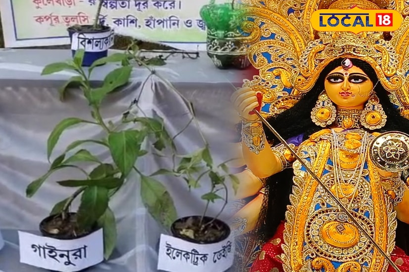 উৎসব হবে সমাজ সংস্কারের চাবিকাঠি থেকে জীবন জীবিকার উৎস! সেই বার্তা নিয়ে দুর্গাপুর উৎসবে শামিল স্থানীয় প্রাথমিক স্কুল। মাতৃ আরাধনার পাশাপাশি মণ্ডপে আয়োজিত হল হস্তশিল্পের প্রদর্শন, ভেষজ গাছ চেনার উপায় এবং বিভিন্ন প্রতিযোগিতার মধ্য দিয়ে মানুষকে সচেতন এবং স্বনির্ভর করার উদ্যোগ। (ছবি ও তথ্য: রাকেশ মাইতি)