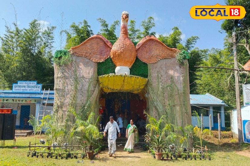 পুজো কমিটির সদস্য সন্দীপ মাহাত জানিয়েছেন, পাখিদের বাসস্থান সমস্যা, পরিবেশে যথেচ্ছ ক্ষতিকারক কৃত্রিম রাসায়নিক/কীটনাশক প্রয়োগ, যত্র-তত্র শিল্পস্থাপনের জন্য কৃষিজমি বা বনভূমির ধ্বংস এসবই সংকটে ফেলেছে পাখিদের অস্তিত্বরক্ষায় সেই মত আমাদের থিম।