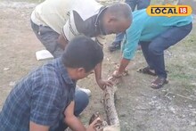 তিস্তার স্রোতে ভেসে এল ওটা কী? জালে ধরা পড়তেই শোরগোল এলাকা!