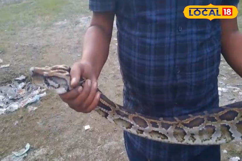 উদ্ধার হওয়া অজগরকে ক্ষতি না করে বন দফতরের হাতে তুলে দেওয়া হবে। প্রকৃতির এই বিশাল সরীসৃপও আমাদের পরিবেশেরই অংশ- এ কথা মনে করিয়ে দেন স্বেচ্ছাসেবীরা! মানুষের আতঙ্ককে শান্ত করে মানবিকতার বার্তা দিল এই উদ্ধার অভিযান। তিস্তার স্রোতে ভেসে আসা অজগর তাই ভয় নয়, ভাবনারও কারণ! 