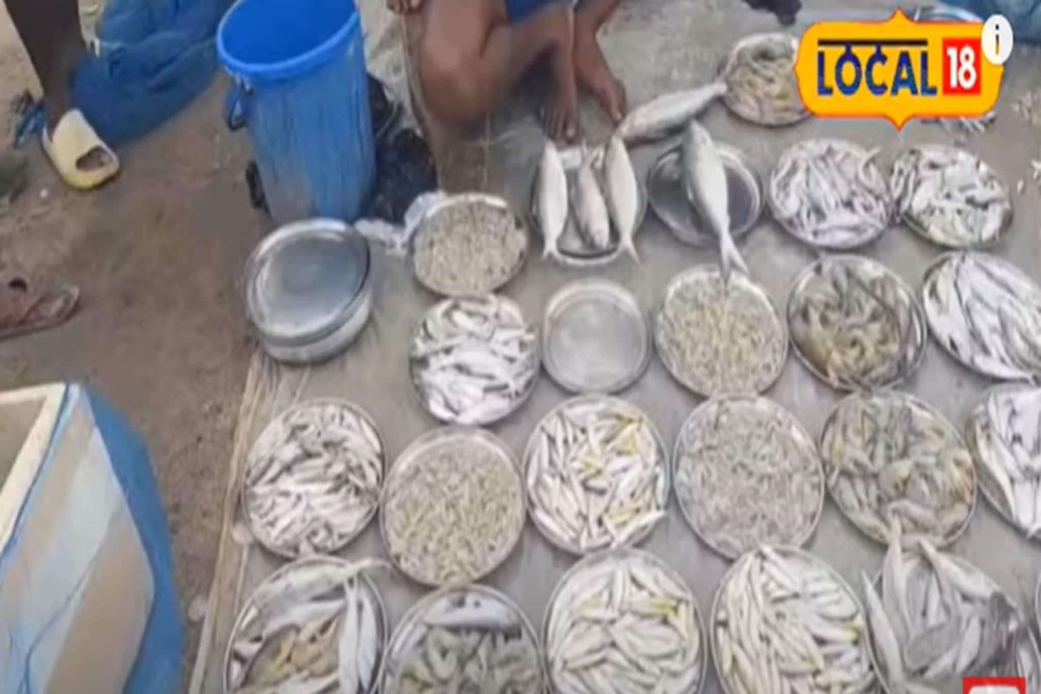 পাল্লা বাটখারায় নয়! থালায় বিক্রি হয় ইলিশ-সহ বিভিন্ন মাছ