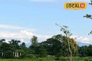 ঘুম ভাঙতেই 'ঘুমন্ত বুদ্ধ'! ভরা ভাদ্রে কাঞ্চন দর্শন, সাতসকালে মন ভালো করা দৃশ্য