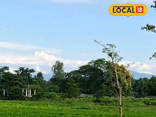 জলপাইগুড়ি থেকে কাঞ্চনজঙ্ঘা দর্শন 