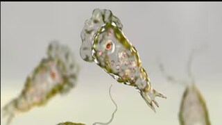 প্রতীকী ছবি৷ প্রতীকী ছবি৷