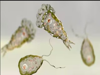 প্রতীকী ছবি৷ 