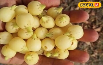 এত ভাল ব্রেকফাস্ট আপনি অনেকদিন খাননি, দুর্বল শরীরে প্রাণ সঞ্চার করবে এই খাবার