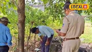 গাছের তলা থেকে ভোটার কার্ড উদ্ধার