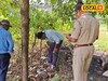 গাছের তলায় 'ওগুলো' কী? কাছে যেতেই যা দেখা গেল...! সঙ্গে সঙ্গে পুলিশে খবর, মালদহে শোরগোল