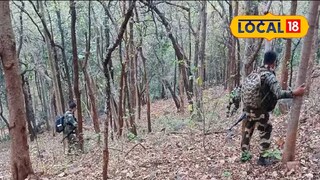 মাওবাদী দমন অভিযান। প্রতীকী ছবি 