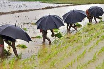 বর্ষা এবার বিদায় নিচ্ছে কবে? জানিয়ে দিল আবহাওয়া দফতর, পুজোর আগে বড় খবর