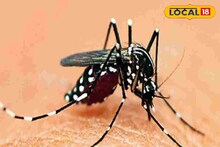চিন্তা বাড়াচ্ছে ডেঙ্গি-ম্যালেরিয়া! আক্রান্তদের বেশিরভাগই..! পুজোর আগে বড় আশঙ্কা ডাক্তারদের