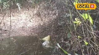 তেহট্টে নিখোঁজ শিশুর দেহ উদ্ধার হল পুকুর থেকে 