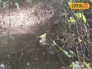তেহট্টে নিখোঁজ শিশুর দেহ উদ্ধার হল পুকুর থেকে 