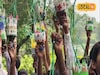 প্লাস্টিকের ক্ষতিকর বর্জ্যেই সেজে উঠুক প্রকৃতি, সবুজের পথে নতুন দিশা