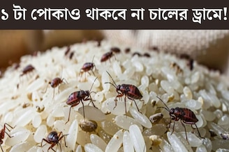 গিজগিজ করছে কালো, সাদা পোকা? চালের ড্রামে ফেলে দিন এই জিনিস! ৩ বছরেও একটা পোকা ধরবে না