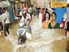 ছাতা-রেনকোট নিয়েই হোক ঠাকুর দেখা! পুজোয় বৃষ্টির পূর্বাভাসে সাংসদ রচনার টিপস