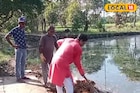 জঞ্জাল পরিষ্কার করছেন পুরসভার চেয়ারম্যান! পুজোর আবহে শান্তিপুরে বেনজির ছবি