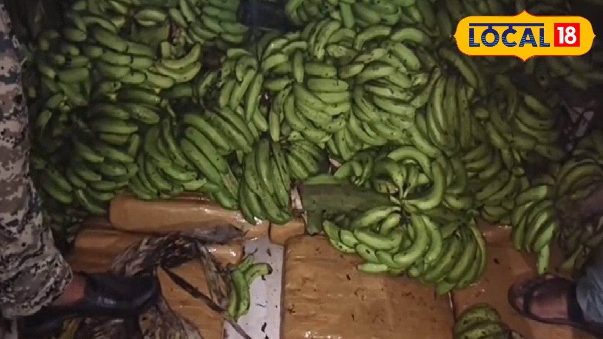 রাতের অন্ধকারে পুলিশের চোখে ধুলো দিয়ে নিষিদ্ধ কর্মকাণ্ড! লরি বোঝাই কলার আড়ালে লুকিয়ে...