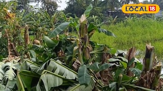 কদম্বগাছিতে মহালয়ার দিন পালিত হল নষ্ট চন্দন উৎসব